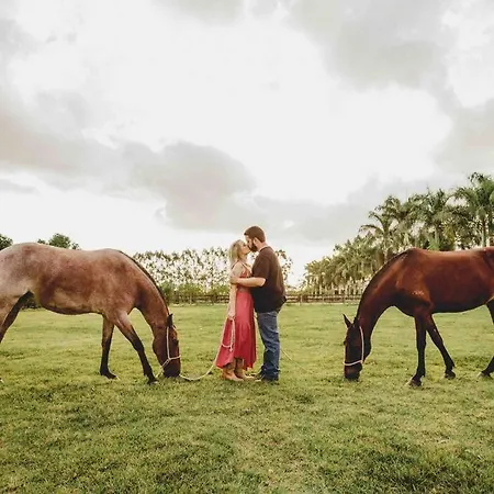 Apartamento Duplex A Centre