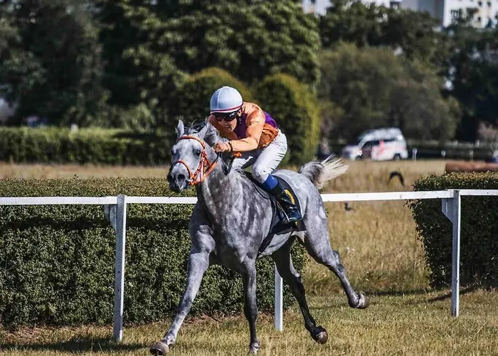 Duplex A Centre * 샹티이