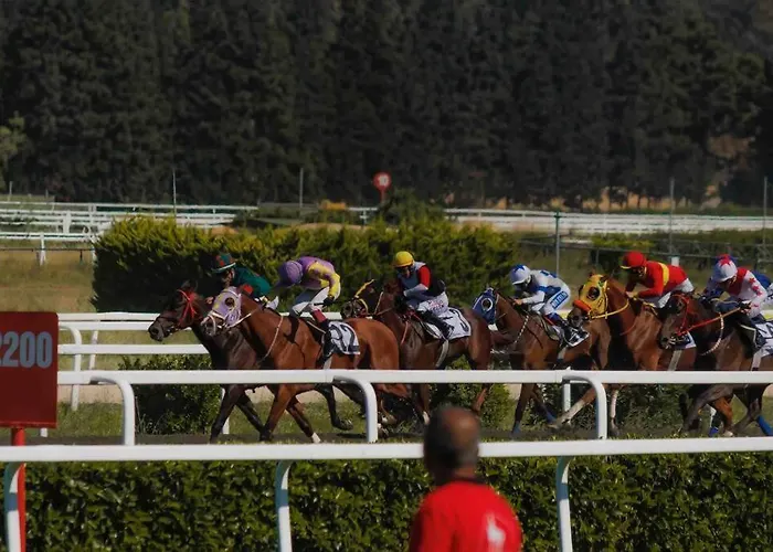 Duplex A Centre Lägenhet *